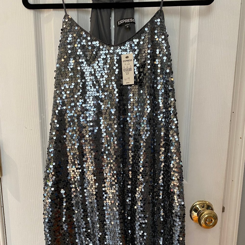Express Silver Sequins Dress